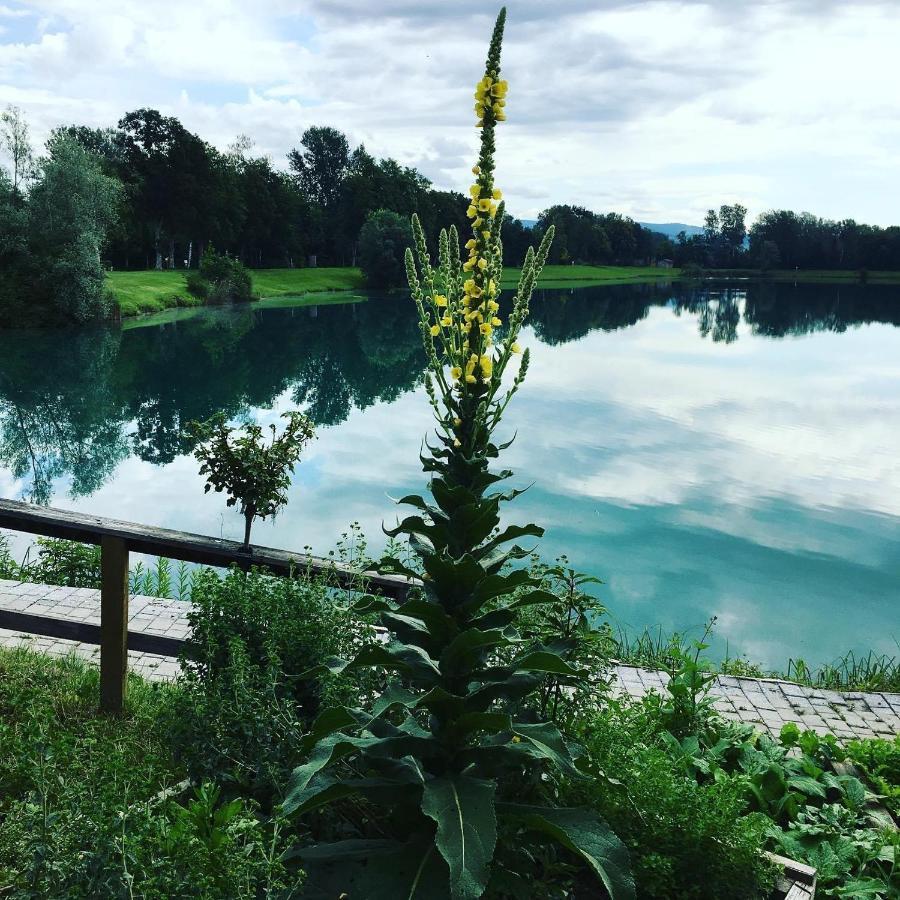 Heurigenbar Leilighet Feldkirchen an der Donau Eksteriør bilde